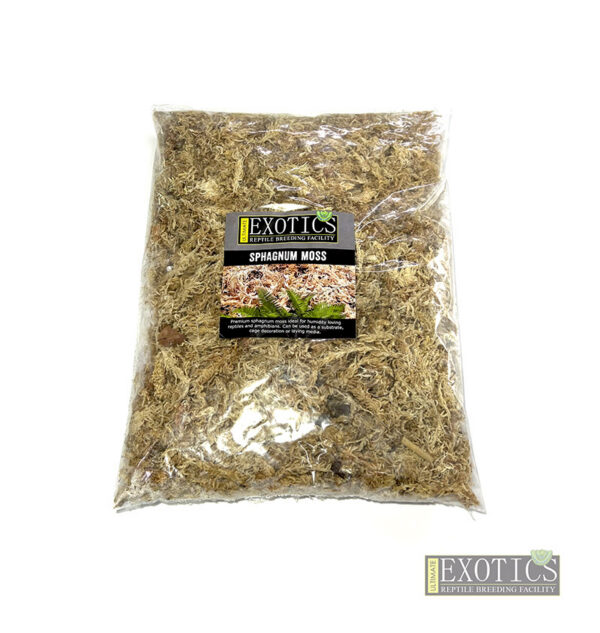 Spaghnum Moss